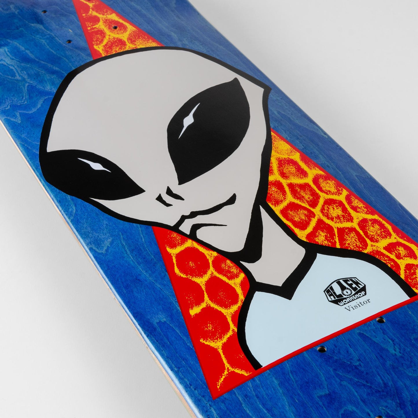VISITOR_8.0_DETAIL.jpg