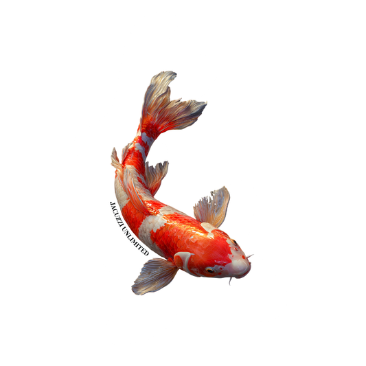 JAC560010.png